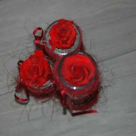 Hotel Garni Gimea Livigno